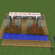 Automatic Mushroom Farm