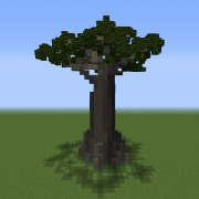 Baobab Tree 2