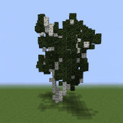 Birch Tree 2