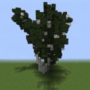 Birch Tree 3