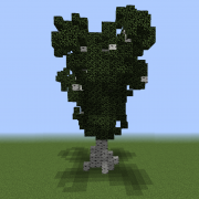 Birch Tree 5