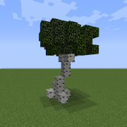 Birch Tree S