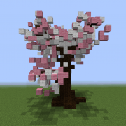 Cherry Blossom Tree 4