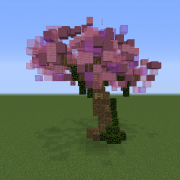 Cherry Tree 1