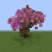 Cherry Tree 2