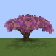 Cherry Tree 3