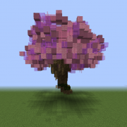 Cherry Tree 4