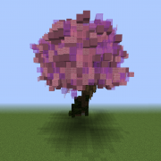Cherry Tree 5
