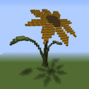 Giant Wildflower