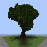 Huge Natural Tree 4