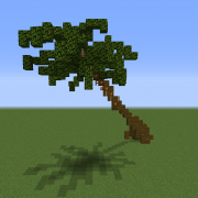 Large Realistic Palm Tree
