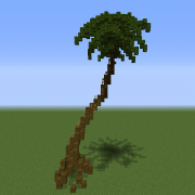 Large Realistic Palm Tree 3