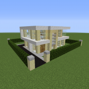 Minimalist Modern House 1