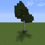 Natural Birch Tree