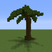 Palm Tree 1