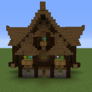 Rustic Medieval House