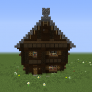 Rustic Town House 2