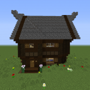 Rustic Town House 4