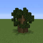 Savanna Baobab Tree 4