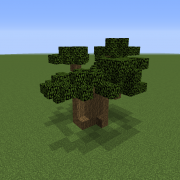 Savanna Baobab Tree 5