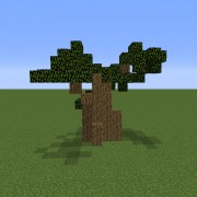 Savanna Baobab Tree 6