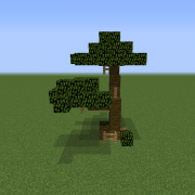 Savanna Small Tree 7