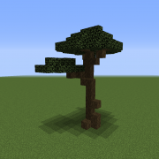 Savanna Tree 5
