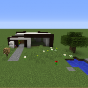 Small Modern House 1