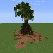 Small Swamp Tree