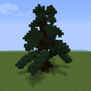 Spruce Tree L