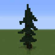 Spurce Tree 1