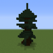 Spurce Tree 2