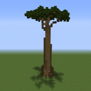 Tall Baobab Tree 2