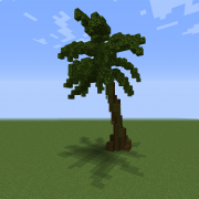 Tall Palm Tree 2