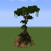 Tall Swamp Tree 2