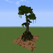 Tall Swamp Tree 3