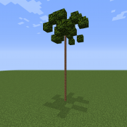 Thin Palm Tree 2