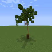 Thin Palm Tree 3