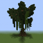 Willow Tree 4